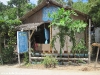 ao-thong-nai-pan-noi123