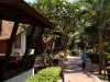 cocohut-beach-resort059