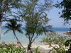 coconut-beach08