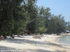 coconut-beach63