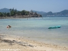coconut-beach65