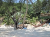 coconut-beach67