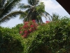 coral-bay-bungalows12