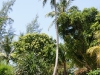 coral-bay-bungalows19