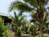 coral-bay-bungalows22