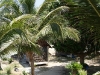 coral-bay-bungalows51