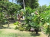 coral-bay-bungalows81