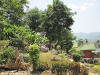 coral-bay-bungalows86