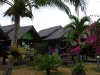 coral-beach-bungalow11