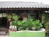 coral-beach-bungalow45