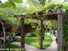 dreamland-resort-phangan043