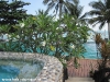 dreamland-resort-phangan079