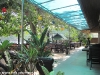 dreamland-resort-phangan090