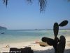 fantasea_phangan019