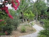 haad-salad-villa215