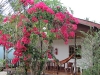 haad-salad-villa227
