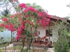 haad-salad-villa228
