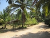 malibu-beach-bungalow-foto049