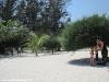 malibu-beach-bungalow-strand073