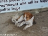 palita-lodge-haad-rin029