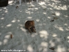 palita-lodge-haad-rin069