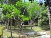 thongtapan_resort075